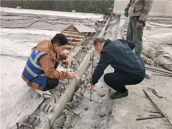 微信圖片_20250109160839.png 微信圖片_20250109160839.png